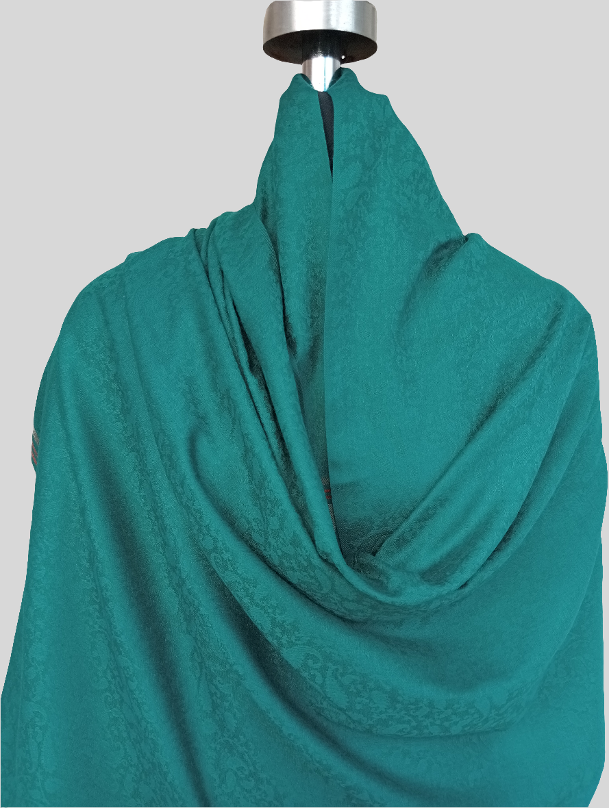 Ladies ikkat border Shawl