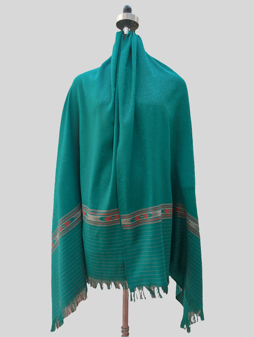 Ladies ikkat border Shawl